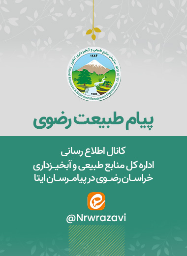 ایتا