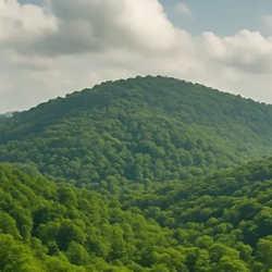 مساحت اراضی جنگلی و بیشه زار**755925**هکتار