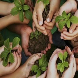 همیار طبیعت**27397**نفر