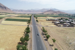 عکس‌های جنگل