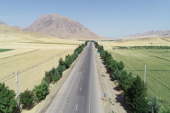 عکس‌های جنگل