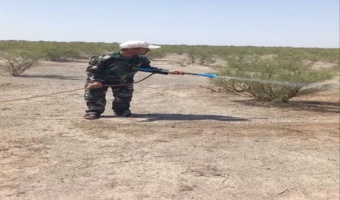 ادامه عملیات مقابله با ملخ کوهاندار در مناطق شیرخون و حسن آباد خواف با همکاری همه‌جانبه