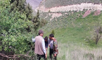 بازدید مسئولان سازمان منابع طبیعی و آبخیزداری کشور از آفات درختان ارس منطقه هزارمسجد کلات