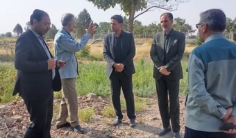 بازدید مدیر عامل شرکت مجتمع فولاد خراسان از نهالستان فاروب رمان نیشابور