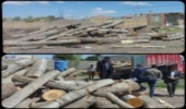 اخذ مجوز برای هرگونه حمل و نقل چوب در منابع طبیعی و آبخیزداری شهرستان قوچان