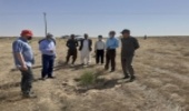 بهره برداری از پروژه های 100 هکتاری تثبیت شن در شهرستان مرزی سرخس