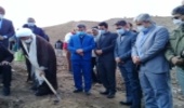 ادای احترام به شهدای گمنام شهرستان جغتای با کاشت نهال مثمر