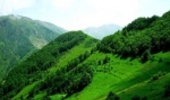 احیاء منابع طبیعی تجدید شونده عزم ملی می طلبد 