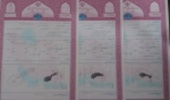 صدور سند برای اراضی ملی در شهرستان مه ولات به 34000 هکتار رسید 