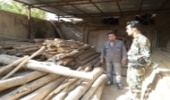 تشدید نظارت و بازرسی بر کارگاه های چوب بری شهرستان درگز 