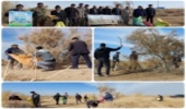 گناباد - جمع آوری ۳۰۰ کیلوگرم بذر گونه های بیابانی با مشارکت مردم در شهرستان گناباد 