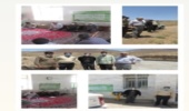 برگزاری کارگاه آموزشی آبخیزداری در شهرستان خواف