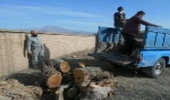 1/5 تن چوب قاچاق در شهرستان داورزن توقیف شد 