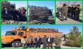 قطع درختچه های جنگلی در دلگان سیستان و بلوچستان ، توقیف در گناباد خراسان رضوی 