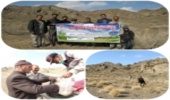 بردسکن-نهمین پویش بذرکاری و نهالکاری با مشارکت مرتعداران شهرستان بردسکن 