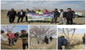 بردسکن- برپایی دهمین پویش نهالکاری و بذرکاری با هدف مراقبت و نگهداری درختان در شهرستان بردسکن 