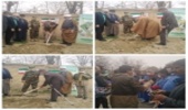 اداره کل-در دومین روز از هفته منابع طبیعی و آبخیزداری : کاشت نهال در محوطه آسایشگاه جانبازان