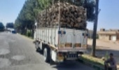 مه ولات-صدور مجوز حمل حدود 1600 تن چوب از شهرستان مه ولات