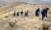 200 هکتار از مراتع شهرستان سبزوار بذر پاشی شد