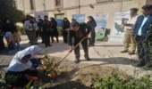 کودکان خراسانی نهال افتخار کاشتند
