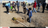 نهالکاری بزرگ خانوادگی استان خراسان رضوی