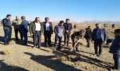 آغاز عملیات نهالکاری ۴۸۸ هزار هکتار در شهرستان بردسکن