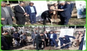 کاشت درخت در محوطه تاریخی باغ نادر در مشهد 