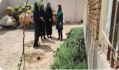 اثربخشی فعالیتهای زنان شهرستان ششتمددر زادآوری جمعیت گیاهان