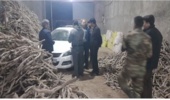 کشف انبار غیرمجاز مقطوعات تاغ در نیشابور