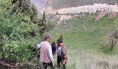بازدید مسئولان سازمان منابع طبیعی و آبخیزداری کشور از آفات درختان ارس منطقه هزارمسجد کلات