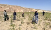 پاکسازی طبیعت به همراه مسئولین طبیعت دوست ششتمد