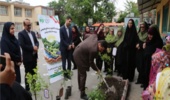 پویش نهال امید