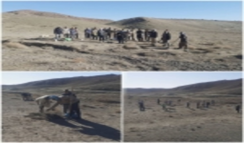 باخرز-عملیات اجرایی پروژه مشارکت مردمی بیولوژیک (کپه کاری) واقع در شهرستان باخرز