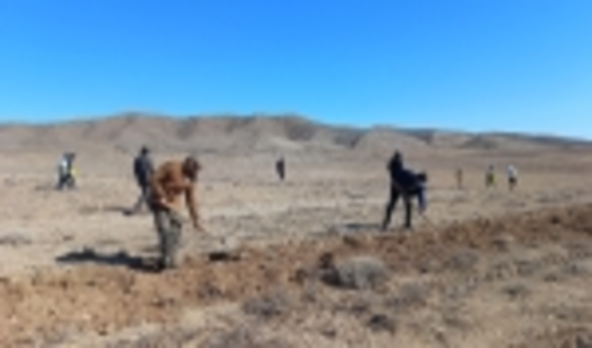 فریمان-اولین پویش مردمی بذرکاری و بذرپاشی در107هکتاراراضی ملی درشهرستان فریمان