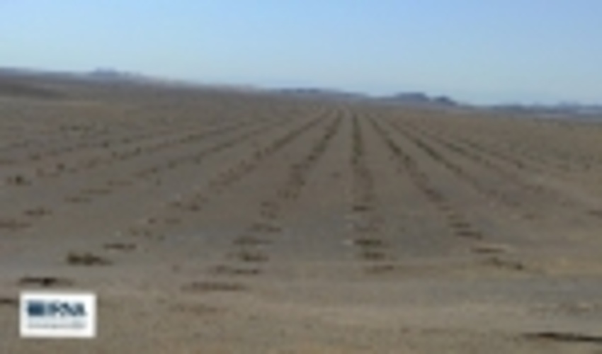 بیابانزایی سالانه ۳۰ هزار میلیارد ریال به زیرساختهای کشور خسارت می‌زند