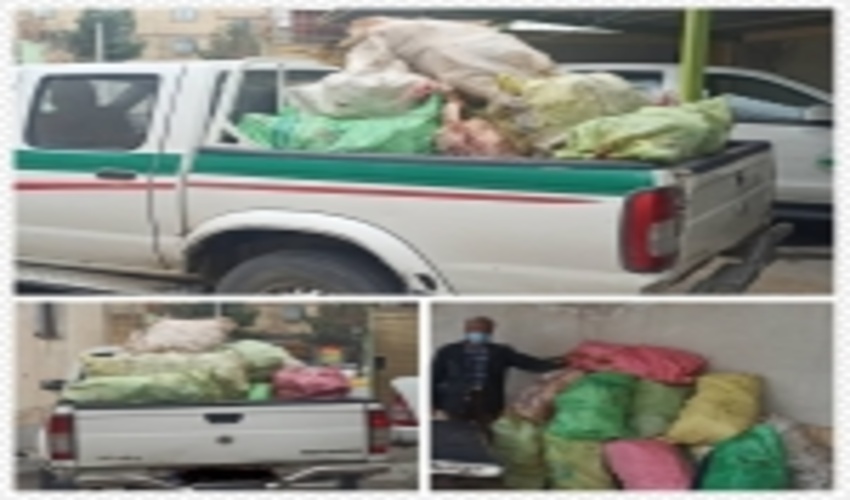 چناران- توقیف ۲۵ کیسه ریشه درختچه های زرشک کوهی در شهرستان چناران