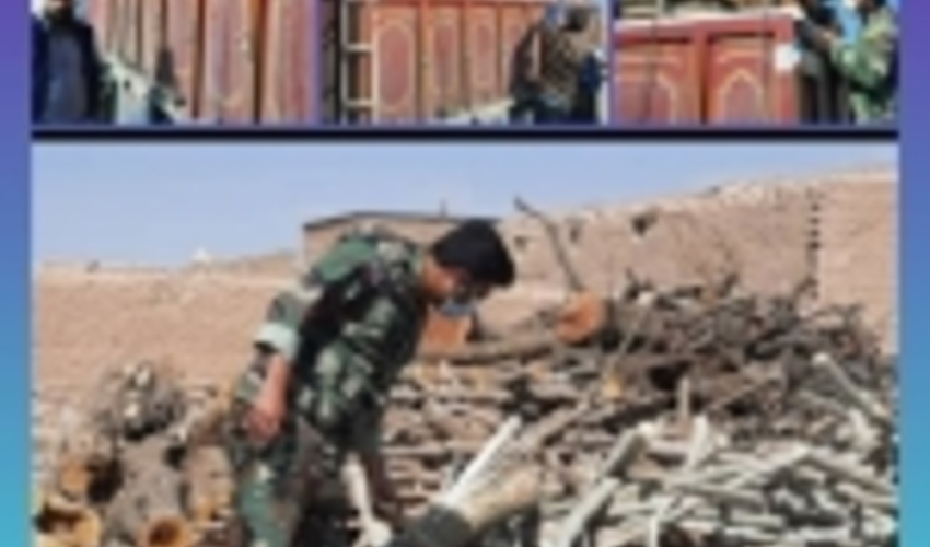 قوچان گلوگاه خروج چوب از خراسان رضوی 