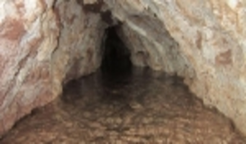 افزایش آبدهی قنوات به میزان 2 تا 19 برابر از جمله نتایج آبخیزداری در خراسان رضوی(خبرگزاری فارس)