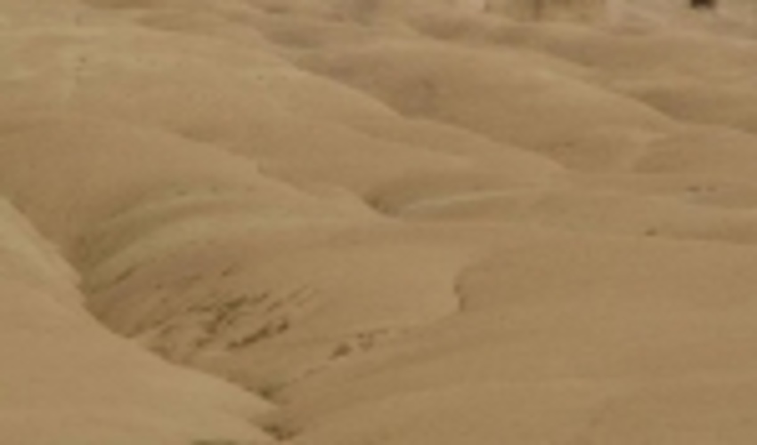 تربت جام-اجرای پروژه 300 هکتاری بیابان زدایی؛ مدیریت هرز آب و کنترل رواناب در کانون‌های فرسایش بادی شهرستان تربت جام 