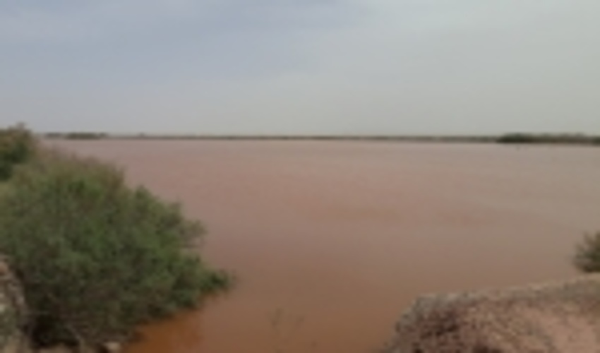 پروژه احیای اراضی شور با استفاده از پخش سیلاب  حوزه آبخیز کالشور سبزوار ، پروژه برتر کشوری شد