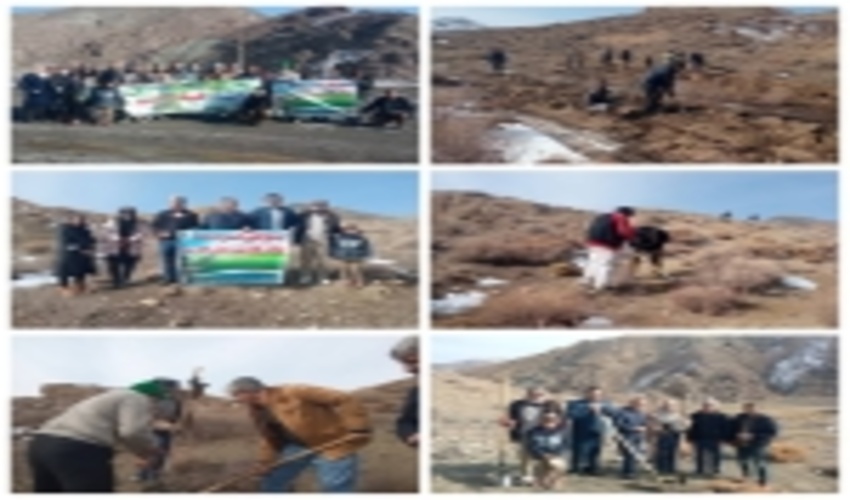 برپایی دومین پویش بذرکاری در شهرستان جغتای