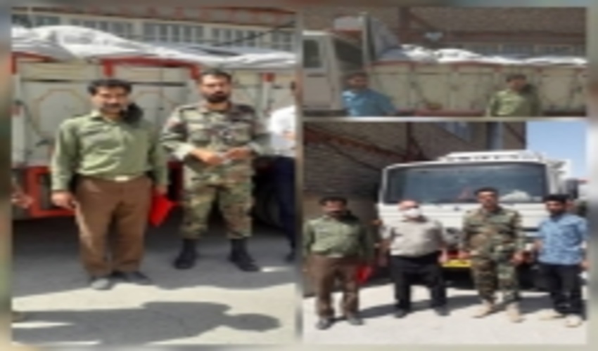 سرقت پسته های جنگلی سرخس گران تمام شد