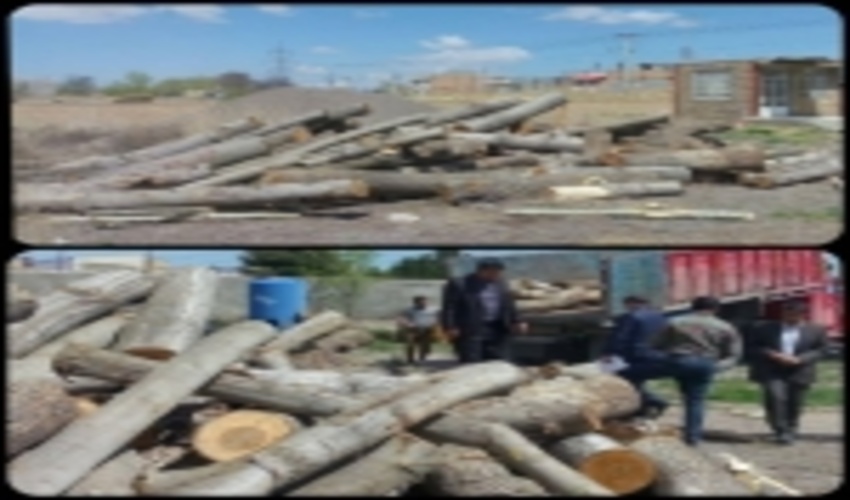 اخذ مجوز برای هرگونه حمل و نقل چوب در منابع طبیعی و آبخیزداری شهرستان قوچان