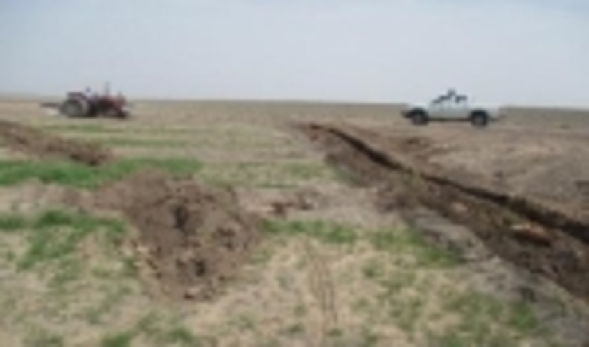 160 هکتار از اراضی ملی در شهرستان تربت جام خلع ید و رفع تصرف شد