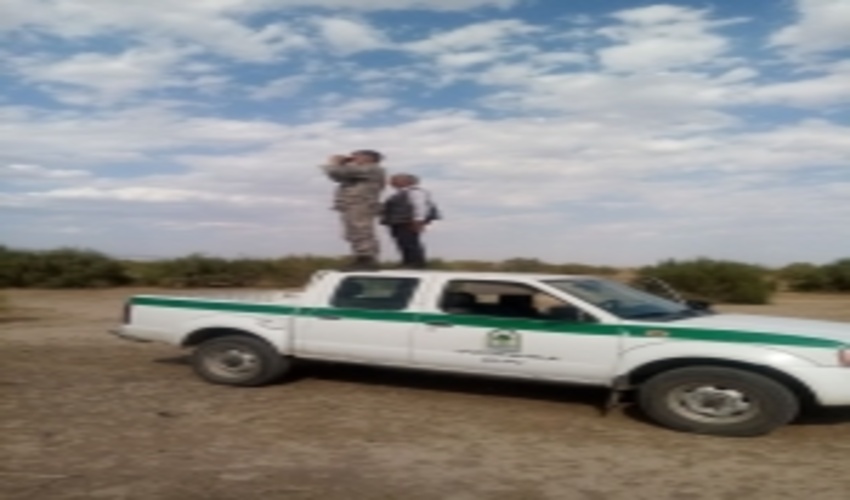 طی 4 ماه گذشته در تاغزارهای شهرستان زبرخان خراسان رضوی هیچ تاغی قطع نشد