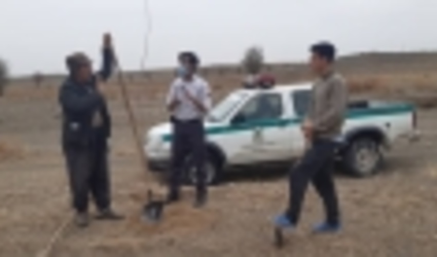 توقف عملیات نهالکاری در اراضی ملی شهرستان جغتای 