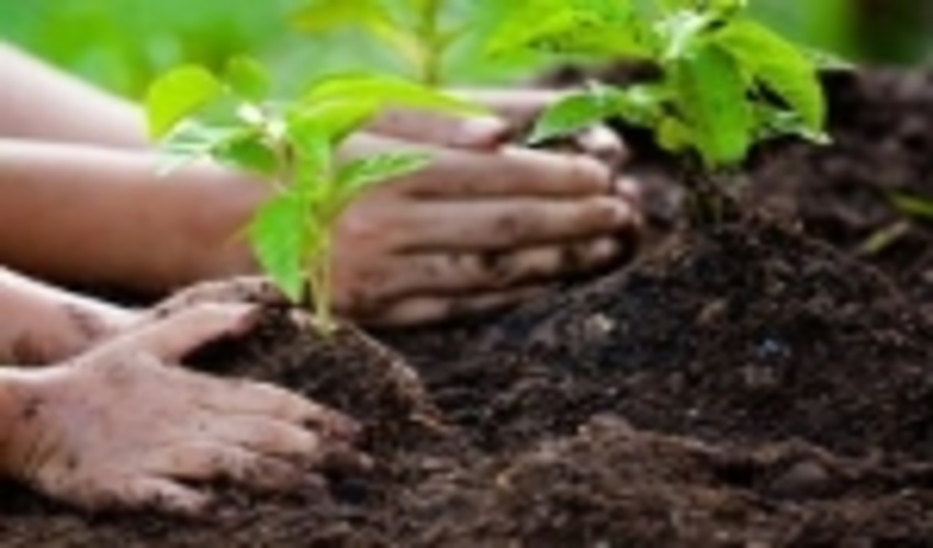 رئیس منابع طبیعی و آبخیزداری کاشمر: ۲ میلیارد و ۲۰۰ میلیون تومان اعتبار برای اجرای طرح‌های آبخیزداری، بیابان زدایی، حفاظتی و کاداستر اراضی منابع ملی در سال جاری هزینه شده است