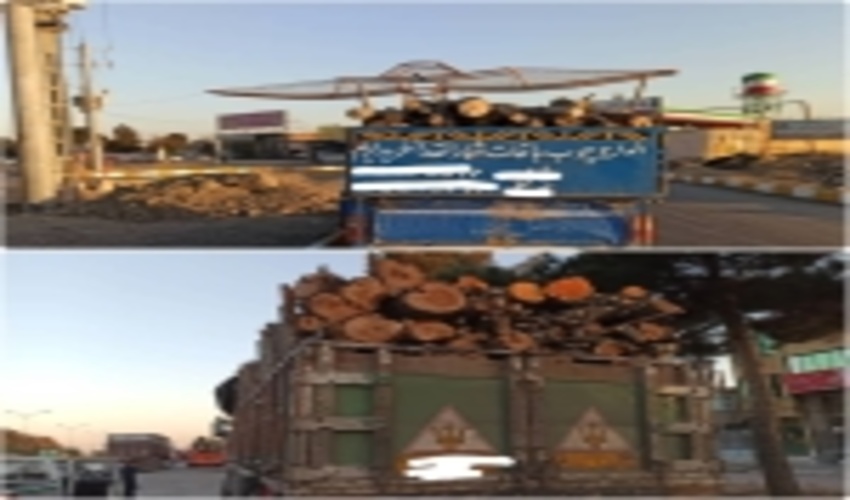 صدور 537 فقره مجوز حمل چوب آلات جنگلی از شهرستانهای چناران و گلبهار