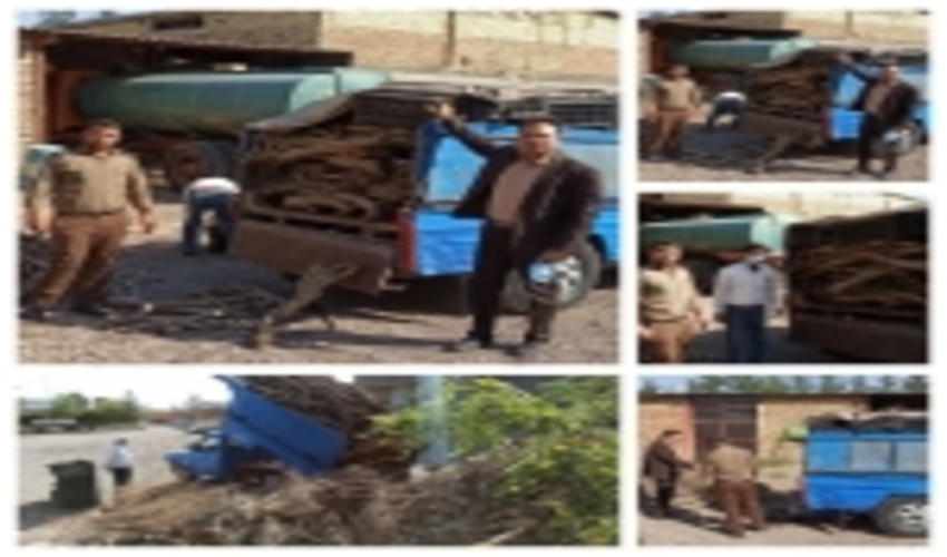 کشف و ضبط یک دستگاه خودرو وانت حامل 70 اصله تاغ غیر مجاز در شهرستان تربت جام