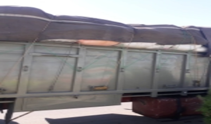 کشف و ضبط 9 تن پسته قاچاق وحشی از جنگلهای  پسته شهرستان سرخس